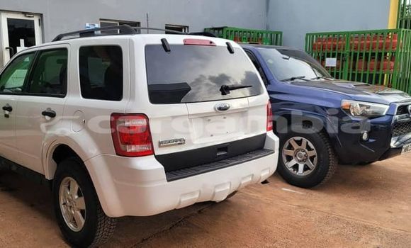Dieundeu Occasion Ford Escape White Auto in Banjul in Banjul Dieundeu Occasion Ford Escape White Auto in Banjul in Banjul