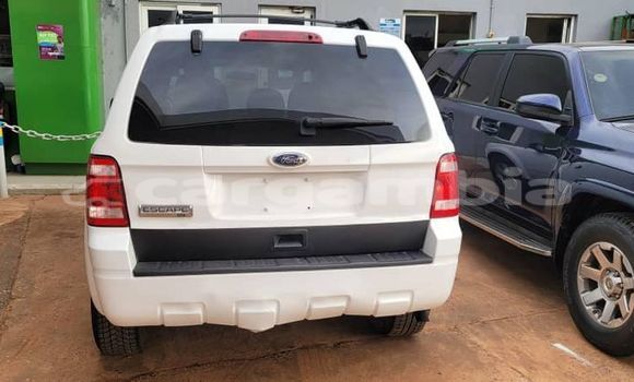 Dieundeu Occasion Ford Escape White Auto in Banjul in Banjul Dieundeu Occasion Ford Escape White Auto in Banjul in Banjul