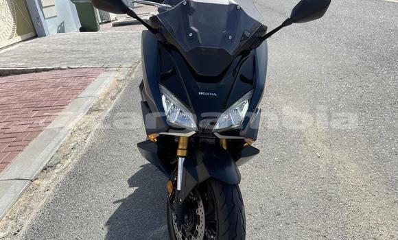 Buy Used Honda Forza Silver Bike in Banjul in Banjul Buy Used Honda Forza Silver Bike in Banjul in Banjul