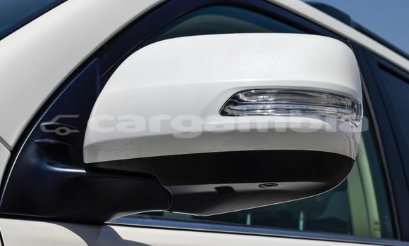 اشتري جديد Toyota Land Cruiser Prado White سيارة في Bakau في Kanifing اشتري جديد Toyota Land Cruiser Prado White سيارة في Bakau في Kanifing