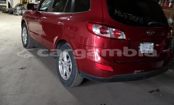 اشتري مستعمل Honda Ascot Other سيارة في Essau في Kerewan