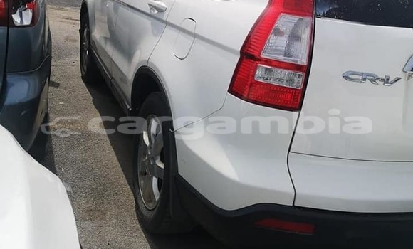 Buy Used Honda Ascot Other Car in Essau in Kerewan Buy Used Honda Ascot Other Car in Essau in Kerewan