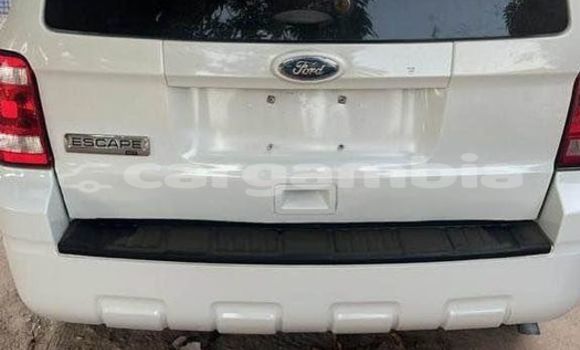 Buy Used Ford Escape White Car in Banjul in Banjul Buy Used Ford Escape White Car in Banjul in Banjul