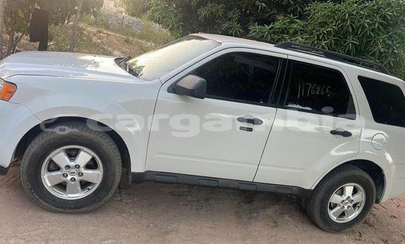 Buy Used Ford Escape White Car in Banjul in Banjul Buy Used Ford Escape White Car in Banjul in Banjul