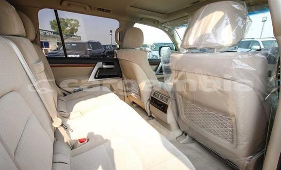 اشتري جديد Toyota Land Cruiser Black سيارة في Bakau في Kanifing اشتري جديد Toyota Land Cruiser Black سيارة في Bakau في Kanifing