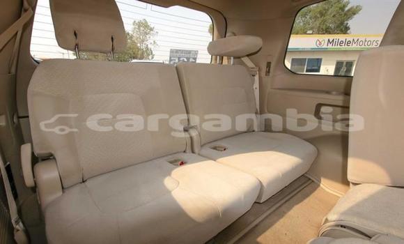 اشتري جديد Toyota Land Cruiser Black سيارة في Bakau في Kanifing اشتري جديد Toyota Land Cruiser Black سيارة في Bakau في Kanifing