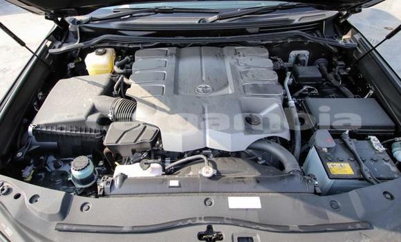 اشتري جديد Toyota Land Cruiser Black سيارة في Bakau في Kanifing اشتري جديد Toyota Land Cruiser Black سيارة في Bakau في Kanifing