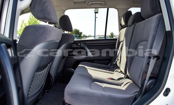 اشتري جديد Toyota Land Cruiser White سيارة في Bakau في Kanifing اشتري جديد Toyota Land Cruiser White سيارة في Bakau في Kanifing