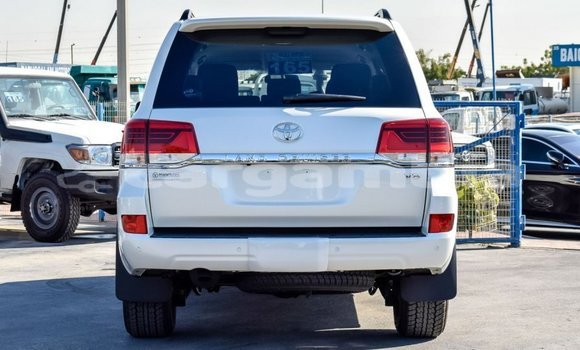 اشتري جديد Toyota Land Cruiser White سيارة في Bakau في Kanifing اشتري جديد Toyota Land Cruiser White سيارة في Bakau في Kanifing