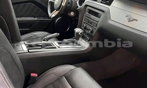 Buy Used Ford Mustang White Car in Banjul in Banjul Buy Used Ford Mustang White Car in Banjul in Banjul