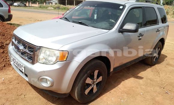 Buy Used Ford Escape Other Car in Bansang in Janjanbureh Buy Used Ford Escape Other Car in Bansang in Janjanbureh