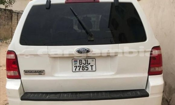 اشتري مستعمل Ford Escape White سيارة في Basse في Basse اشتري مستعمل Ford Escape White سيارة في Basse في Basse
