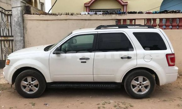 اشتري مستعمل Ford Escape White سيارة في Basse في Basse اشتري مستعمل Ford Escape White سيارة في Basse في Basse