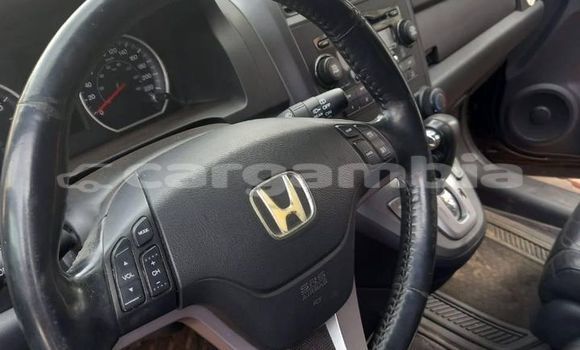 اشتري مستعمل Infinity Q45 Black سيارة في Basse في Basse اشتري مستعمل Infinity Q45 Black سيارة في Basse في Basse