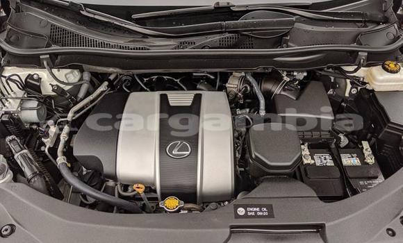 اشتري مستعمل Lexus RX 350 White سيارة في Banjul في Banjul