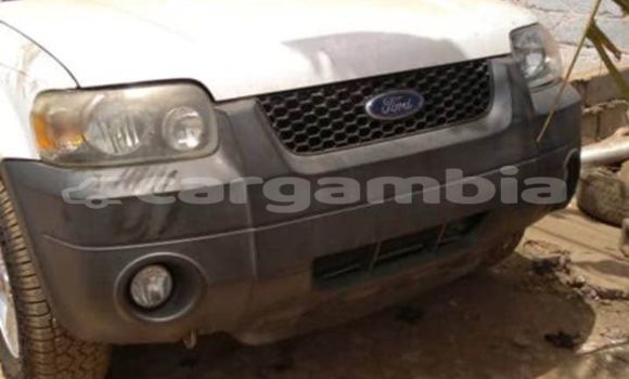 Buy Used Ford Escape White Car in Basse in Basse Buy Used Ford Escape White Car in Basse in Basse