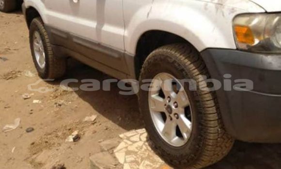 Buy Used Ford Escape White Car in Basse in Basse Buy Used Ford Escape White Car in Basse in Basse