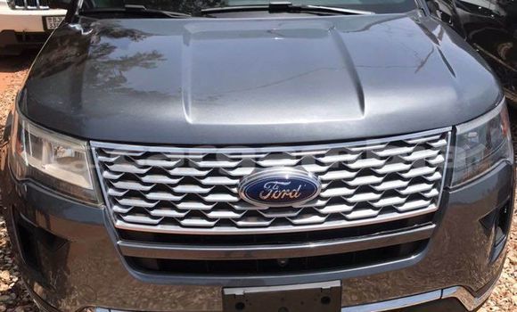 اشتري مستعمل FORD MUSTANG Other سيارة في Serekunda في Kanifing اشتري مستعمل FORD MUSTANG Other سيارة في Serekunda في Kanifing