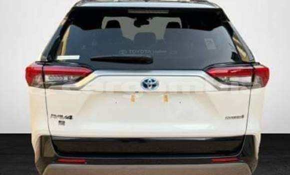 Buy Used Toyota RAV4 Other Car in Serekunda in Kanifing Buy Used Toyota RAV4 Other Car in Serekunda in Kanifing