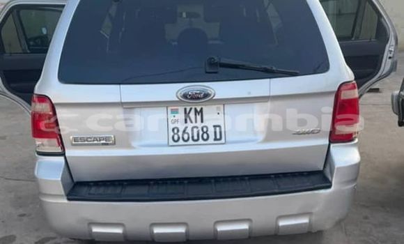 اشتري مستعمل Ford Probe Other سيارة في Serekunda في Kanifing اشتري مستعمل Ford Probe Other سيارة في Serekunda في Kanifing