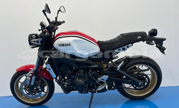 اشتري مستعمل Yamaha XSR Red دراجة نارية في Banjul في Banjul