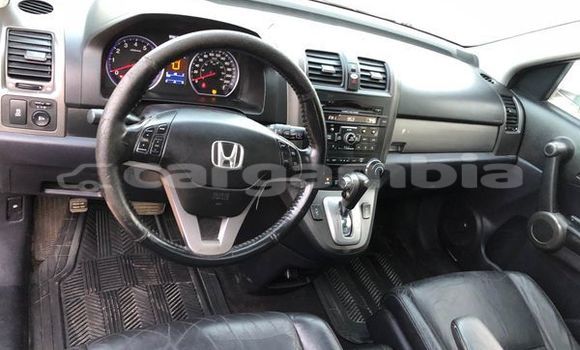 اشتري مستعمل Honda Accord Other سيارة في Banjul في Banjul