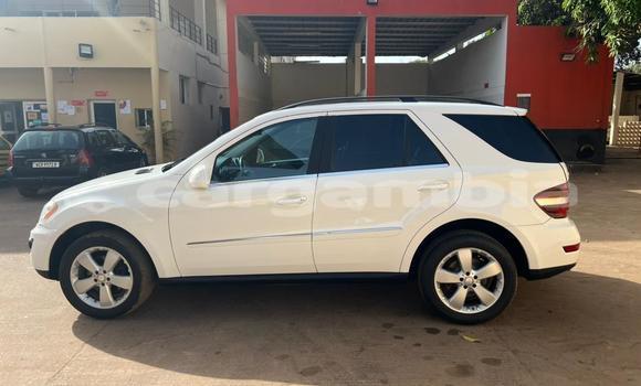 Buy Used Mercedes‒Benz ML–Class White Car in Sukuta in Brikama Buy Used Mercedes‒Benz ML–Class White Car in Sukuta in Brikama