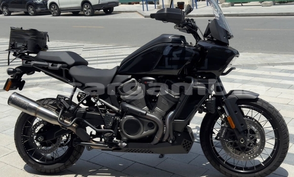 Buy Used Harley Davidson S Black Bike in Banjul in Banjul Buy Used Harley Davidson S Black Bike in Banjul in Banjul
