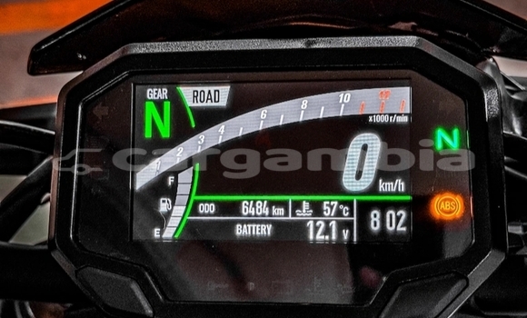 اشتري مستعمل Kawasaki Z Green دراجة نارية في Banjul في Banjul اشتري مستعمل Kawasaki Z Green دراجة نارية في Banjul في Banjul