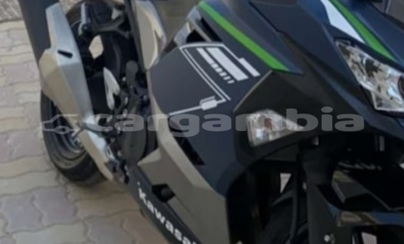 Buy Used Kawasaki Ninja Silver Bike in Banjul in Banjul Buy Used Kawasaki Ninja Silver Bike in Banjul in Banjul