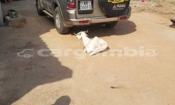 Acheter Occasion Voiture Mitsubishi Libero Autre à Banjul, Banjul Acheter Occasion Voiture Mitsubishi Libero Autre à Banjul, Banjul