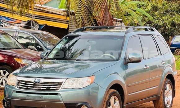 اشتري مستعمل Subaru Forester Other سيارة في Brikama في Brikama اشتري مستعمل Subaru Forester Other سيارة في Brikama في Brikama