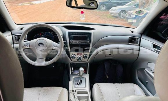 اشتري مستعمل Subaru Forester Other سيارة في Brikama في Brikama اشتري مستعمل Subaru Forester Other سيارة في Brikama في Brikama