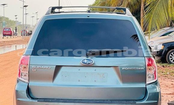 Buy Used Subaru Forester Other Car in Brikama in Brikama Buy Used Subaru Forester Other Car in Brikama in Brikama