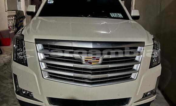 Acheter Occasion Voiture Cadillac Escalade Blanc à Banjul, Banjul Acheter Occasion Voiture Cadillac Escalade Blanc à Banjul, Banjul