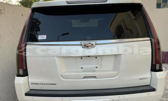 Acheter Occasion Voiture Cadillac Escalade Blanc à Banjul, Banjul Acheter Occasion Voiture Cadillac Escalade Blanc à Banjul, Banjul