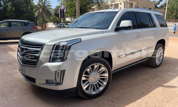 Acheter Occasion Voiture Cadillac Escalade Blanc à Banjul, Banjul Acheter Occasion Voiture Cadillac Escalade Blanc à Banjul, Banjul