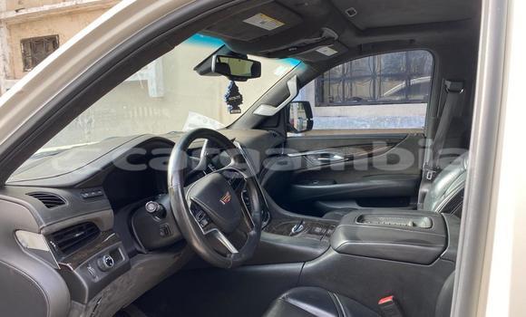 Acheter Occasion Voiture Cadillac Escalade Blanc à Banjul, Banjul Acheter Occasion Voiture Cadillac Escalade Blanc à Banjul, Banjul