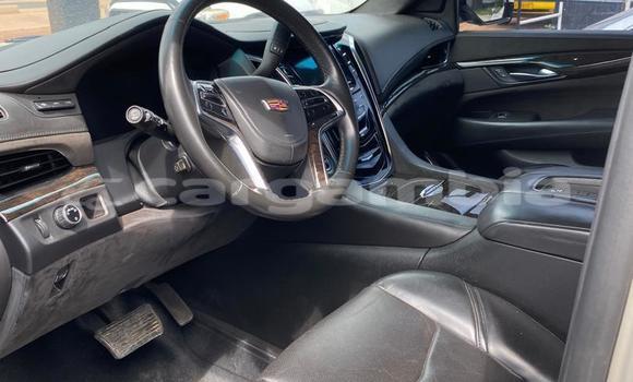 Acheter Occasion Voiture Cadillac Escalade Blanc à Banjul, Banjul Acheter Occasion Voiture Cadillac Escalade Blanc à Banjul, Banjul