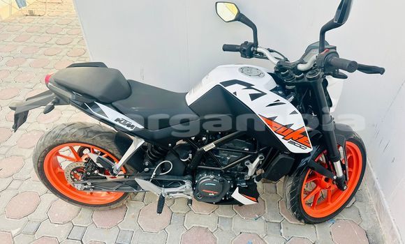اشتري مستعمل KTM Duke Beige دراجة نارية في Banjul في Banjul