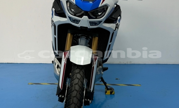 اشتري مستعمل Honda CRF White دراجة نارية في Banjul في Banjul اشتري مستعمل Honda CRF White دراجة نارية في Banjul في Banjul