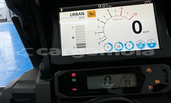 اشتري مستعمل Honda CRF White دراجة نارية في Banjul في Banjul اشتري مستعمل Honda CRF White دراجة نارية في Banjul في Banjul