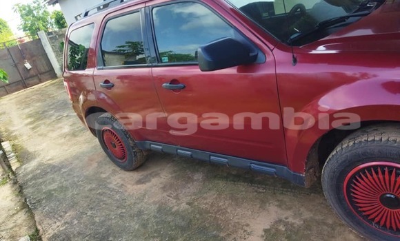 Buy Used Ford Escape Other Car in Banjul in Banjul Buy Used Ford Escape Other Car in Banjul in Banjul