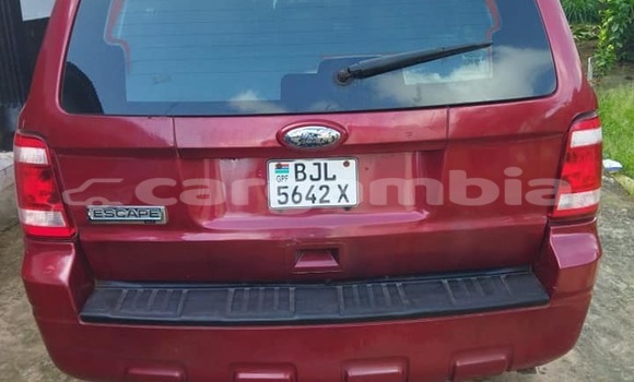 Buy Used Ford Escape Other Car in Banjul in Banjul Buy Used Ford Escape Other Car in Banjul in Banjul