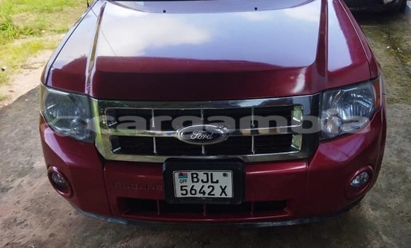 Buy Used Ford Escape Other Car in Banjul in Banjul Buy Used Ford Escape Other Car in Banjul in Banjul