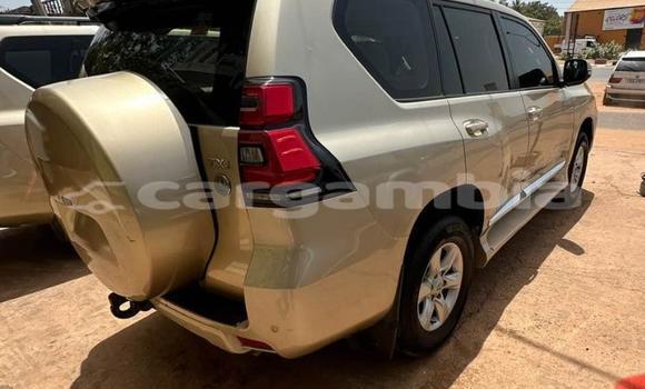 اشتري مستعمل Toyota Prado Other سيارة في Banjul في Banjul اشتري مستعمل Toyota Prado Other سيارة في Banjul في Banjul