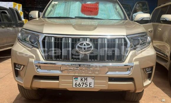 اشتري مستعمل Toyota Prado Other سيارة في Banjul في Banjul اشتري مستعمل Toyota Prado Other سيارة في Banjul في Banjul
