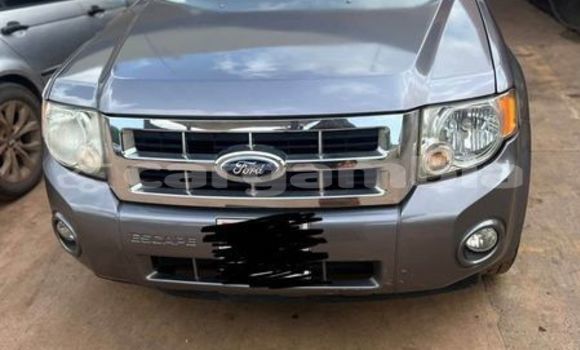 Acheter Occasion Voiture Ford Escape Autre à Banjul, Banjul Acheter Occasion Voiture Ford Escape Autre à Banjul, Banjul