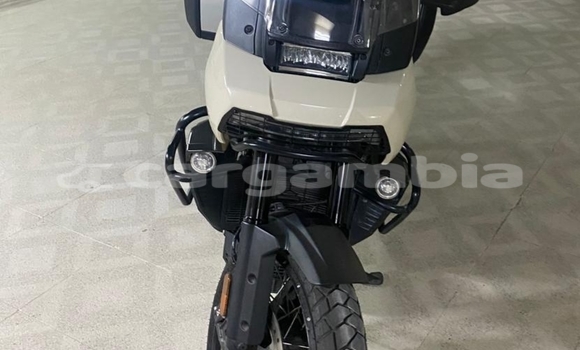 اشتري مستعمل Harley Davidson Dyna Other دراجة نارية في Banjul في Banjul اشتري مستعمل Harley Davidson Dyna Other دراجة نارية في Banjul في Banjul