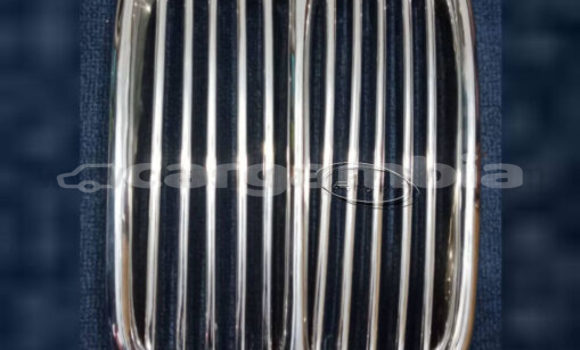 Buy Center grille for BMW E9 in Basse in Basse Buy Center grille for BMW E9 in Basse in Basse